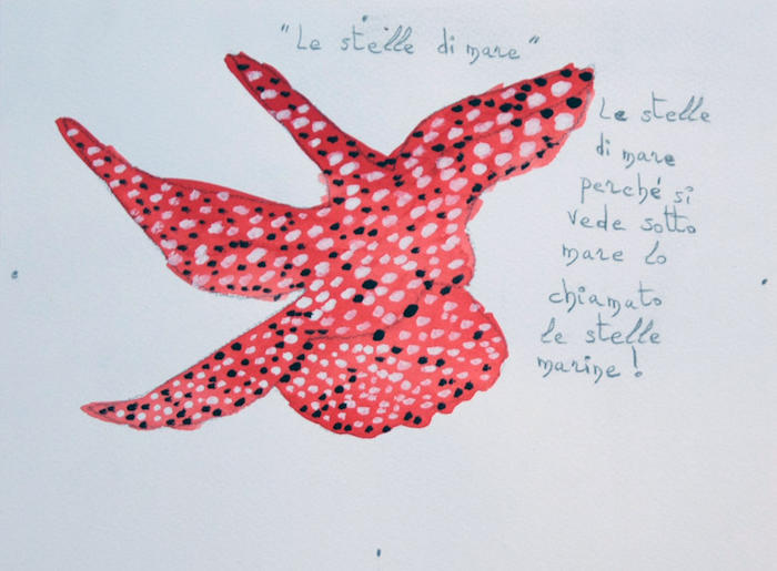 Leveque, Le stelle di mare, 2014