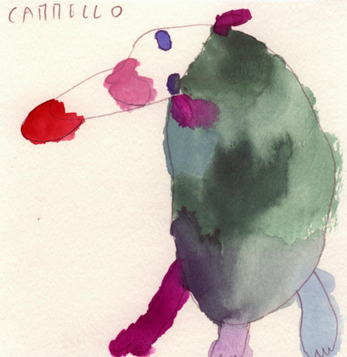 Biella, Cammello, 2011