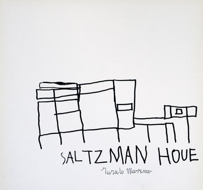 Turato, Saltzman House, 2015